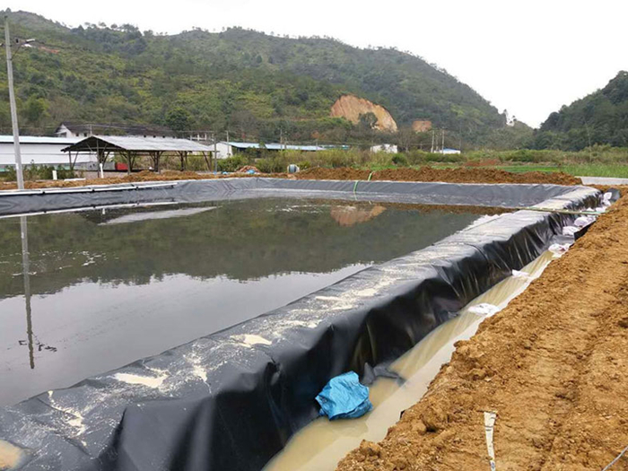 魚(yú)塘里用土工膜做防滲層需不需要回填土壤？